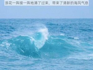 浪花一阵接一阵地涌了过来，带来了清新的海风气息