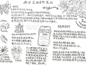 生存日记深度评测：揭秘真实的生存环境与个人生存经验观察笔记