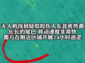 莱州沙河猛禽事件：猛禽为何在此聚集？专家解读