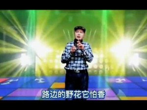 歌曲大叔好大叔坏大叔有时也可爱是由张北北演唱的一首欢快、洗脑的歌曲