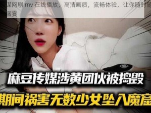 麻豆传谋网剧 mv 在线播放，高清画质，流畅体验，让你随时随地畅享视觉盛宴