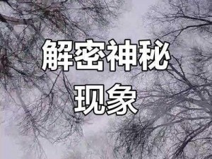 探索两个世界的隐藏密码，揭示未知的真相