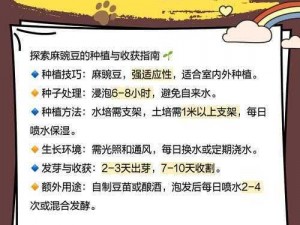 麻豆是什么？为什么它如此受欢迎？如何成为一名优秀的麻豆？