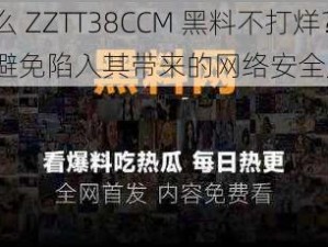 为什么 ZZTT38CCM 黑料不打烊？如何避免陷入其带来的网络安全风险？