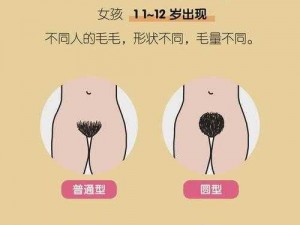 老妇女下面的毛发浓密，她是如何进行清洁的呢？