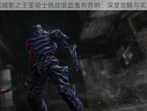 恶魔城暗影之王圣骑士挑战吸血鬼布劳纳：深度攻略与实战解析