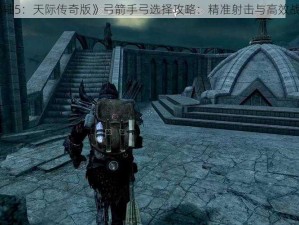 《上古卷轴5：天际传奇版》弓箭手弓选择攻略：精准射击与高效战斗之探讨