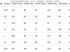 欧亚尺码专线欧洲 B1B1，高品质、精准服务，满足您的一切需求