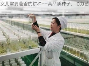 美国女儿需要爸爸的耕种——高品质种子，助力茁壮成长