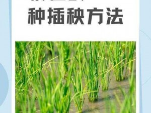 情侣的 100 种做法图片大全集，你知道几个？