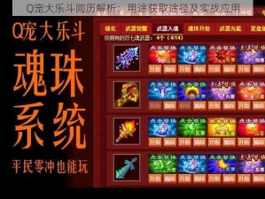 Q宠大乐斗阅历解析：用途获取途径及实战应用