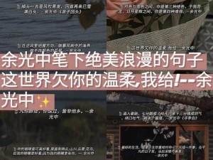 群臣共享皇后和银羽的背景故事——体验绝美剧情，感受浪漫氛围