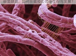 细菌肆虐，如何在瘟疫公司中生存与发展？