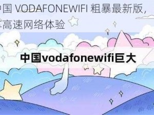 中国 VODAFONEWIFI 粗暴最新版，畅享高速网络体验