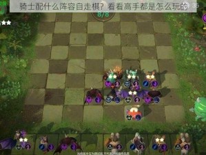 骑士配什么阵容自走棋？看看高手都是怎么玩的