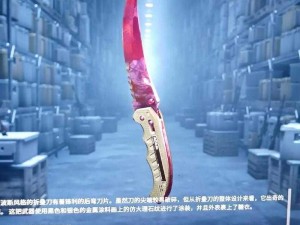 暴躁老阿姨 CSGO 最新集：大揭秘全新皮肤闪亮登场