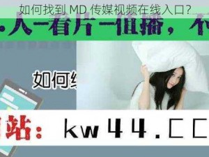 如何找到 MD 传媒视频在线入口？