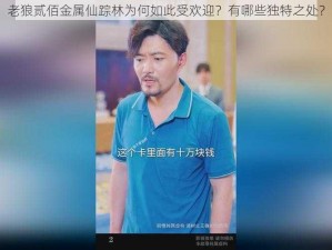 老狼贰佰金属仙踪林为何如此受欢迎？有哪些独特之处？