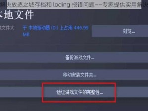 如何解决放逐之城存档和 loding 报错问题——专家提供实用解决方案