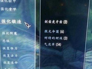 上古卷轴5最强大装备锻造传奇：无限力量之装备大全与制作秘籍