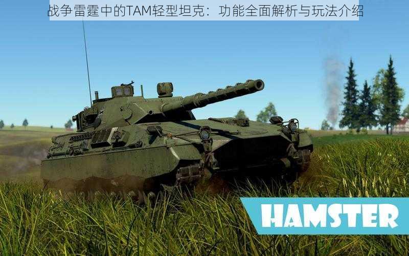 战争雷霆中的TAM轻型坦克：功能全面解析与玩法介绍