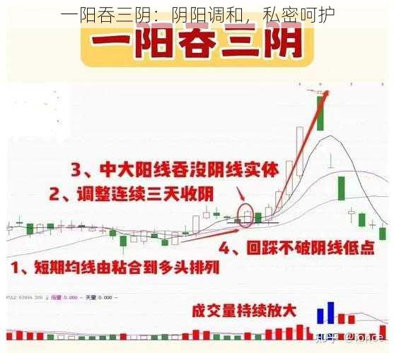 一阳吞三阴：阴阳调和，私密呵护