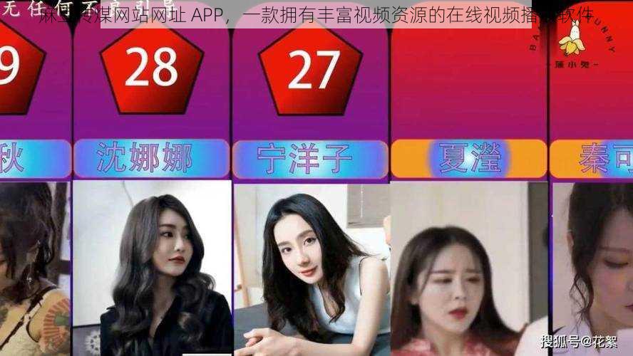 麻豆传煤网站网址 APP，一款拥有丰富视频资源的在线视频播放软件