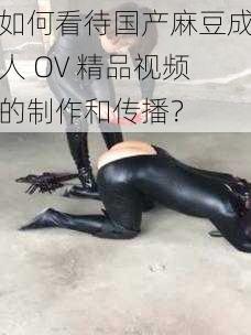 如何看待国产麻豆成人 OV 精品视频的制作和传播？