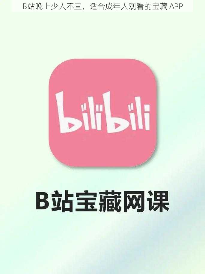 B站晚上少人不宜，适合成年人观看的宝藏 APP