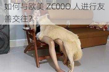 如何与欧美 ZC00O 人进行友善交往？