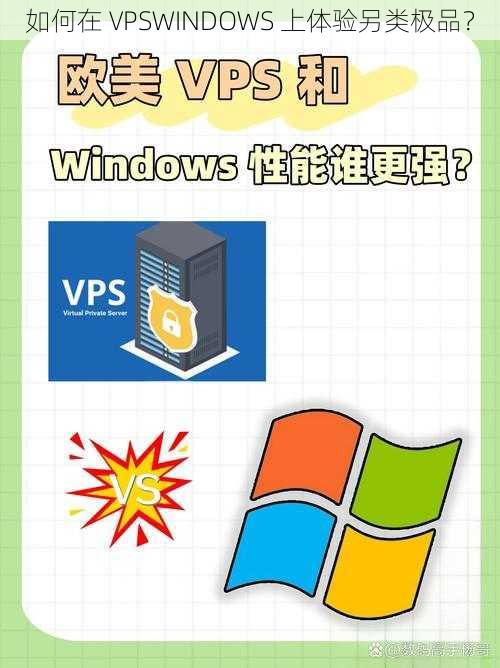 如何在 VPSWINDOWS 上体验另类极品？