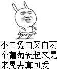 这张两个小白兔抖来抖去动图是怎么制作出来的？