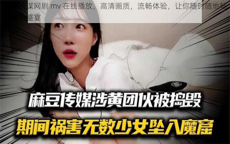 麻豆传谋网剧 mv 在线播放，高清画质，流畅体验，让你随时随地畅享视觉盛宴