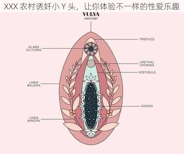 XXX 农村诱奷小 Y 头，让你体验不一样的性爱乐趣