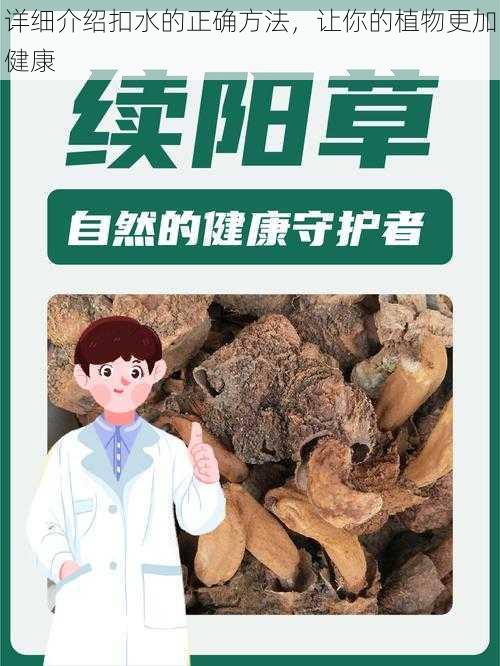 详细介绍扣水的正确方法，让你的植物更加健康