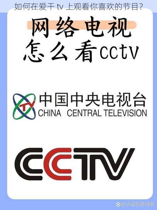 如何在爱干 tv 上观看你喜欢的节目？