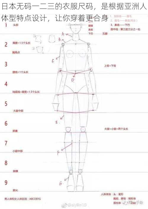 日本无码一二三的衣服尺码，是根据亚洲人体型特点设计，让你穿着更合身