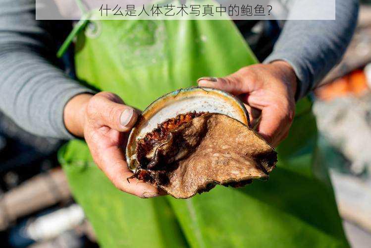 什么是人体艺术写真中的鲍鱼?