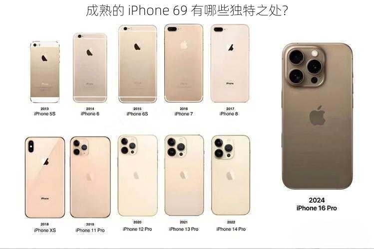 成熟的 iPhone 69 有哪些独特之处？