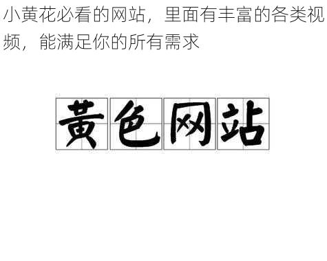 小黄花必看的网站，里面有丰富的各类视频，能满足你的所有需求