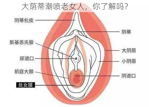 大荫蒂潮喷老女人，你了解吗？