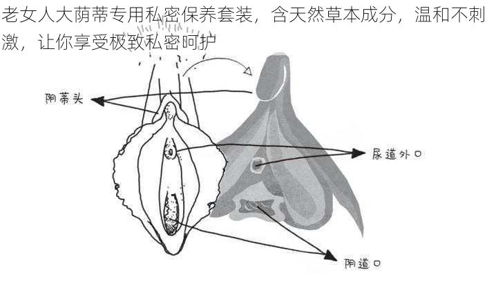 老女人大荫蒂专用私密保养套装，含天然草本成分，温和不刺激，让你享受极致私密呵护