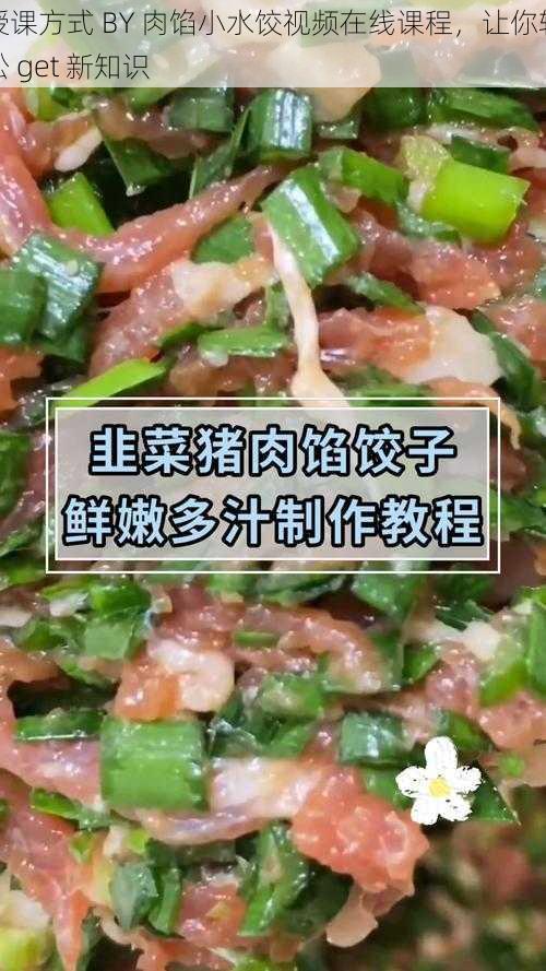 授课方式 BY 肉馅小水饺视频在线课程，让你轻松 get 新知识