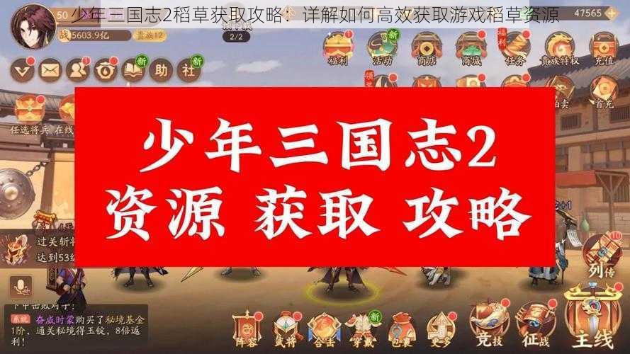 少年三国志2稻草获取攻略：详解如何高效获取游戏稻草资源