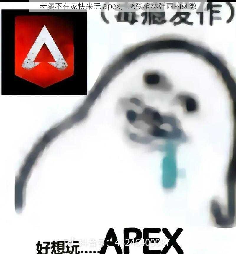 老婆不在家快来玩 apex，感受枪林弹雨的刺激