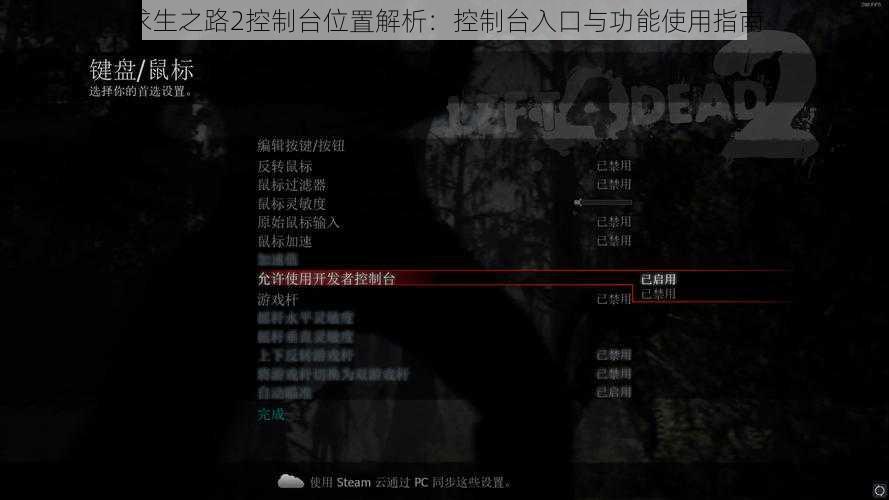 求生之路2控制台位置解析：控制台入口与功能使用指南
