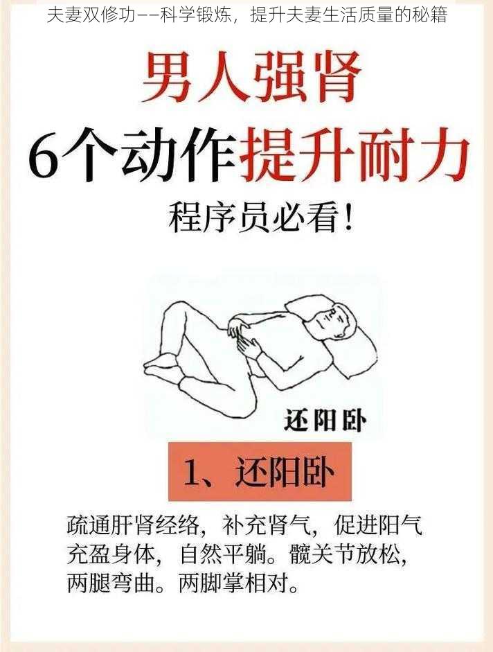 夫妻双修功——科学锻炼，提升夫妻生活质量的秘籍