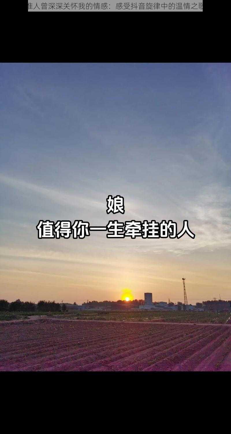 谁人曾深深关怀我的情感：感受抖音旋律中的温情之歌