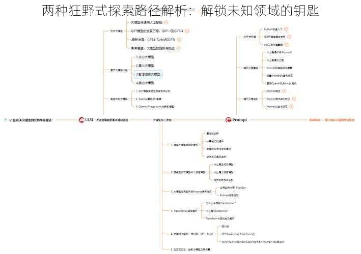 两种狂野式探索路径解析：解锁未知领域的钥匙