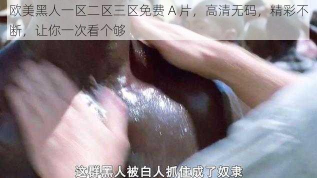 欧美黑人一区二区三区免费 A 片，高清无码，精彩不断，让你一次看个够